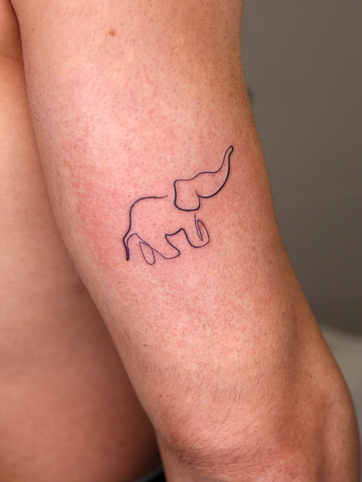 Tatuaje lineal elefante Mamba Negra