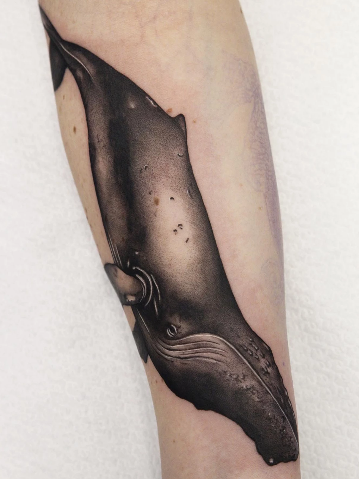 Tatuaje realista ballena Mamba Negra