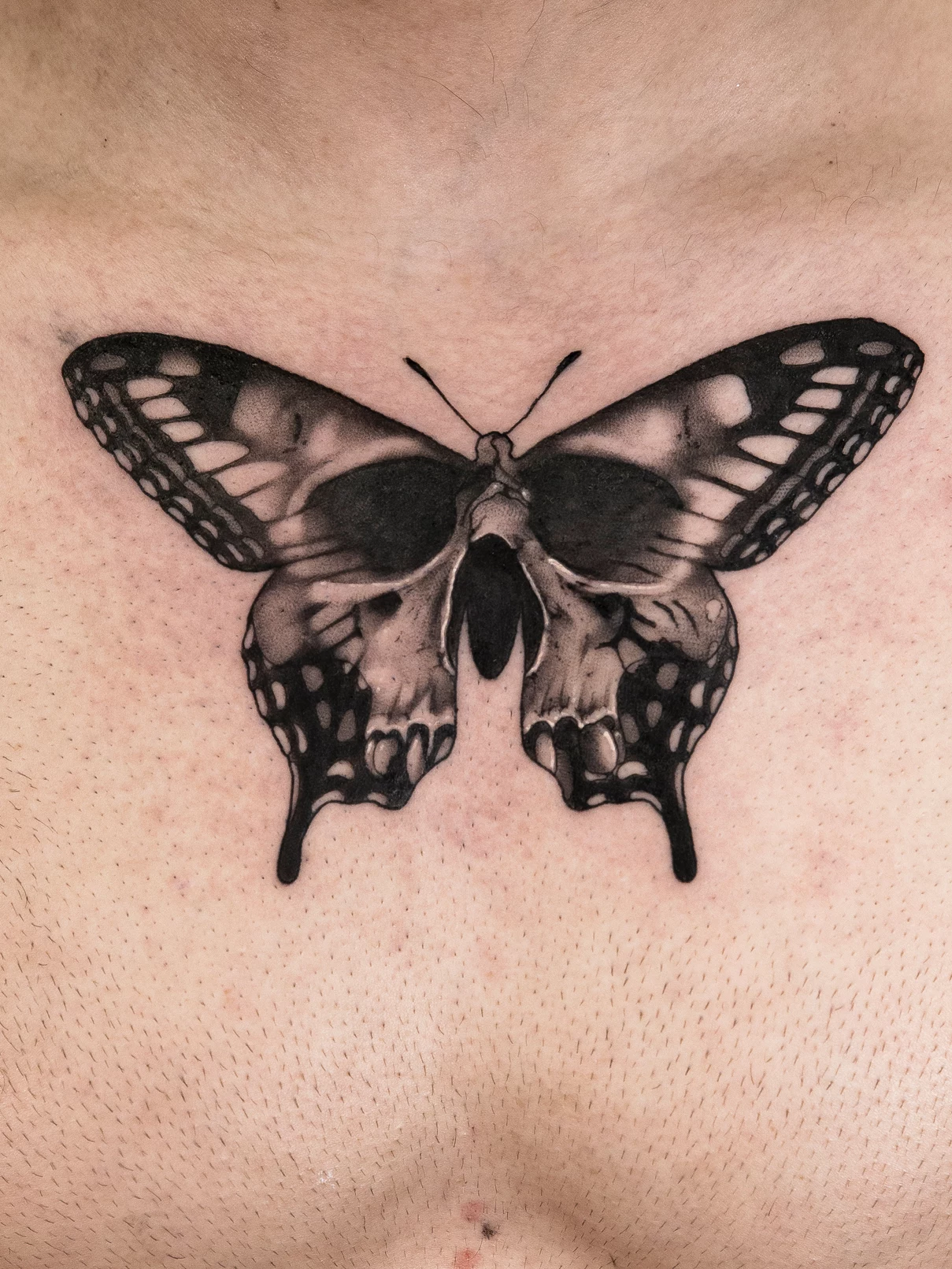Tatuaje realista mariposa Mamba Negra