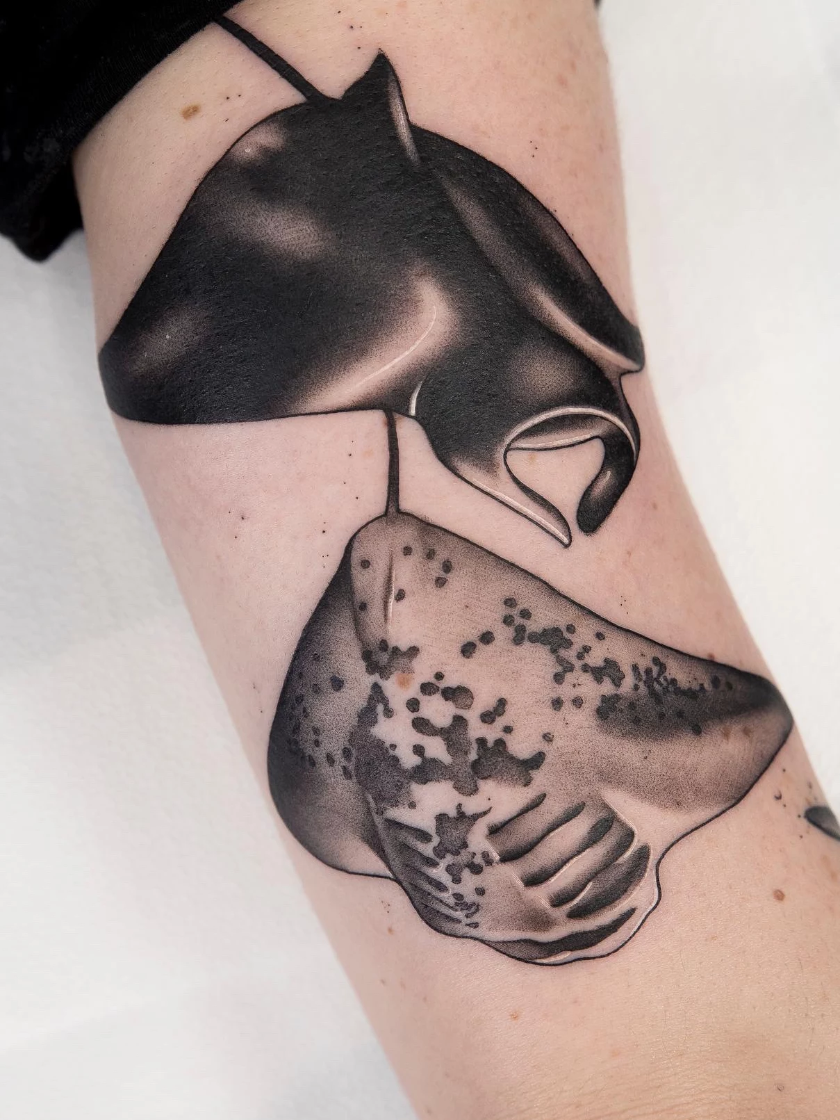 Tatuaje realista mantas Mamba Negra