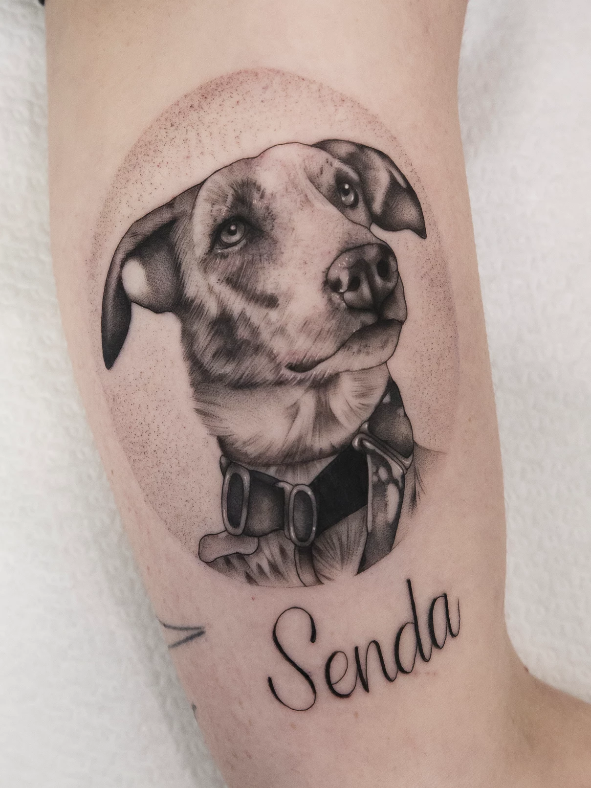 Tatuaje realista perro Mamba Negra