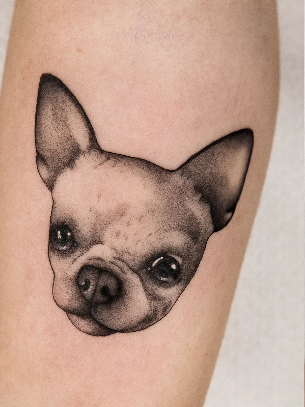 Tatuaje realista perro Mamba Negra