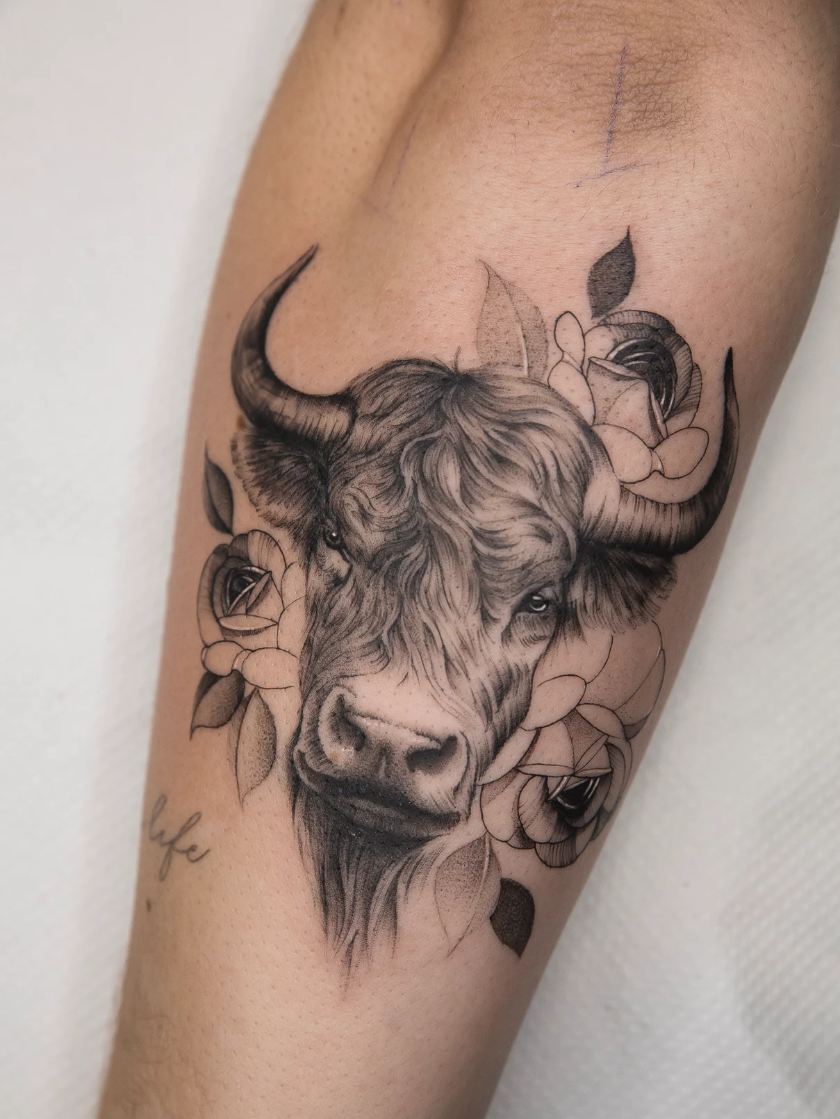 Tatuaje realista bufalo Mamba Negra